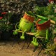 Garden Accessories