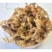 Culterra Chilean Sphagnum Moss (80g)