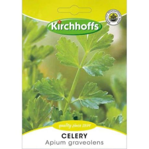Kirchhoffs Celery Apium Graveolens Seeds