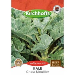 Kirchhoffs Kale Chou Moullier Seeds