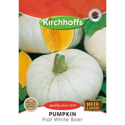 Kirchhoffs Pumpkin Flat White Boer Seeds
