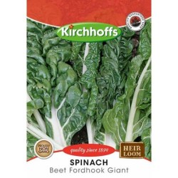 Kirchhoffs Spinach Beet Fordhook Giant Seeds