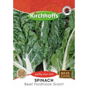 Kirchhoffs Spinach Beet Fordhook Giant Seeds Kirchhoffs Spinach Beet Fordhook Giant Seeds