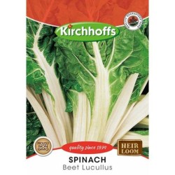 Kirchhoffs Spinach Beet Lucullus Seeds