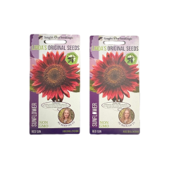 Sun Flower Red Sun - Linda's Original Seeds Sun Flower Red Sun - Linda's Original Seeds