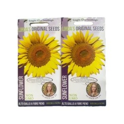 Sun Flowers - Linda's Original Seeds
