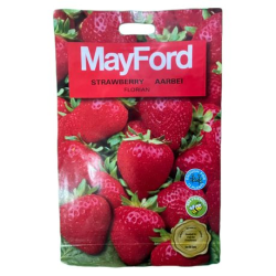 Strawberry Seeds - MayFord