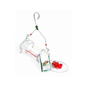 Wild Garden Bird Nectar Feeder - 750ml + Recipe (Elaine's Birding)
