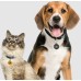 Smart Pet Tag Smart Pet Tag
